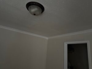 Ceiling Drywall Repair After Flood Damage in Boise
