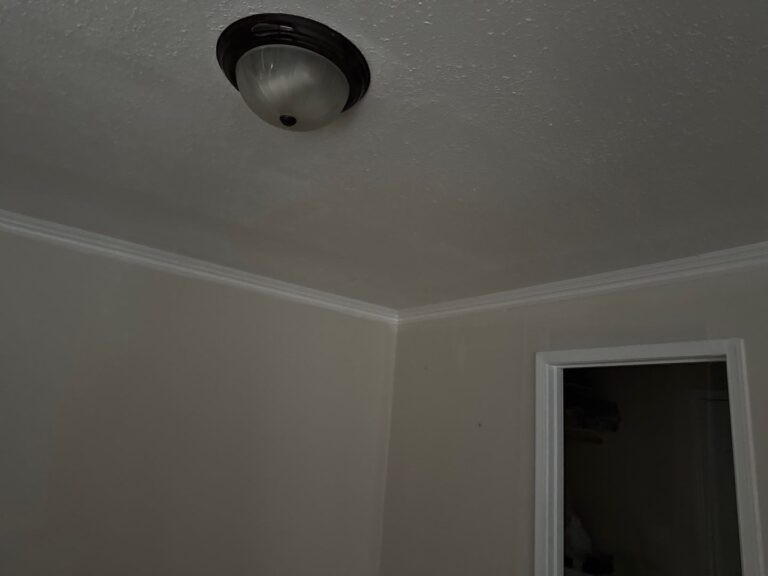 Ceiling Drywall Repair After Flood Damage in Boise