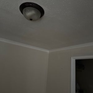 Ceiling Drywall Repair After Flood Damage in Boise
