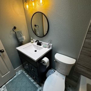 Bathroom Renovation in Meridian